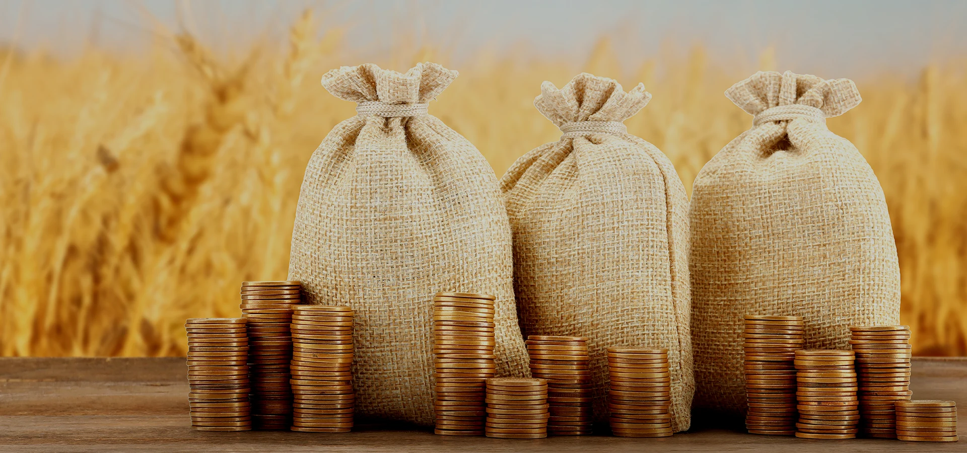 Apoyo economico y financiero para explotaciones agrícolas