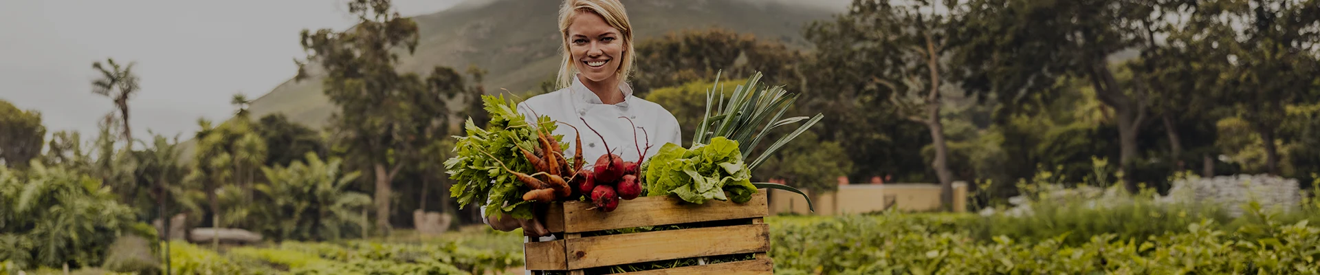 Comprendiendo y adoptando la agricultura ecológica
