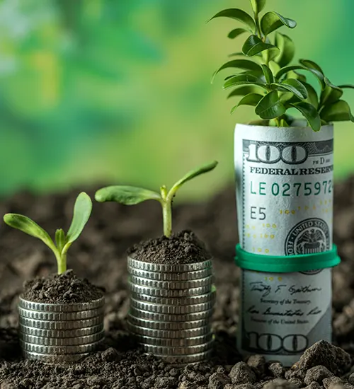 Gestion de la volatilidad de los precios