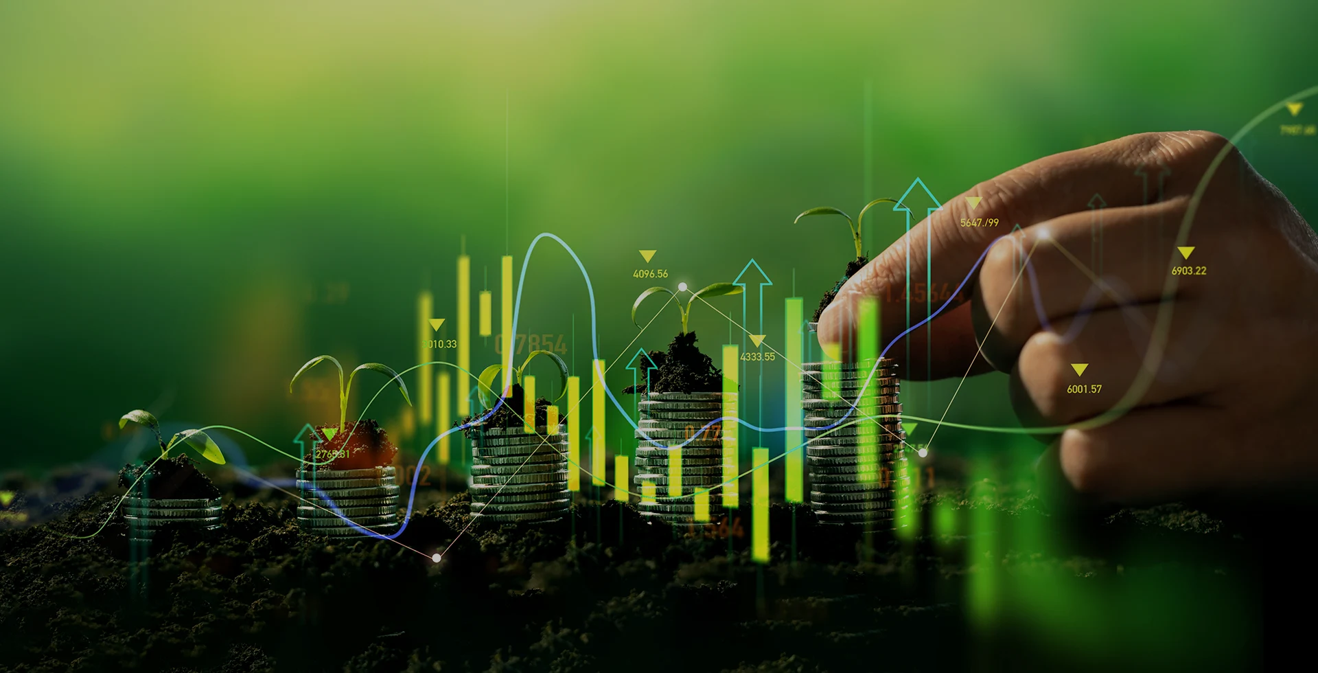 Gestion y financiacion para explotaciones agricolas